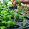 X-Stream Nutriculture řízkovnice pro 120 rostlin - bez vytápění