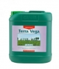 Canna Terra Vega