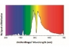 Výbojka GIB Lighting Flower Spectrum XTreme Output 1000W HPS DE, 400V