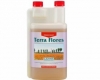 Canna Terra Flores