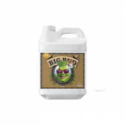 Advanced Nutrients Big Bud Coco Liquid