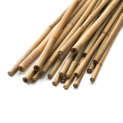 Bambusová tyčka 120cm, balení 25ks