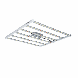 DIUS 630W LED