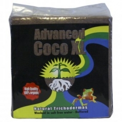 AH Coco Advanced XL