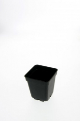 Teku čtyřhranný květináč 27x27x40cm, černá barva, objem 20L