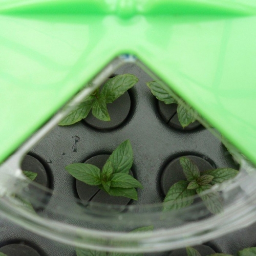 X-Stream Nutriculture řízkovnice pro 20 rostlin - bez vytápění