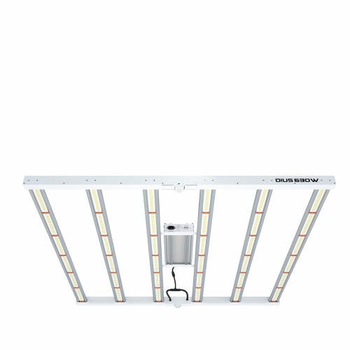 DIUS 630W LED