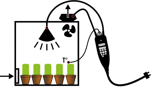 Secret Jardin Nano Grow