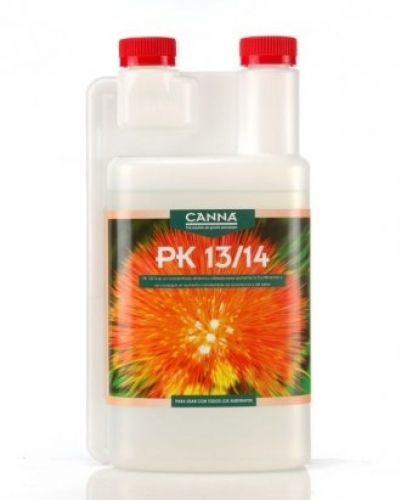 Canna PK 13-14