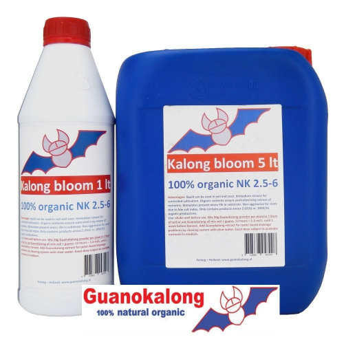 Kalong bloom organic